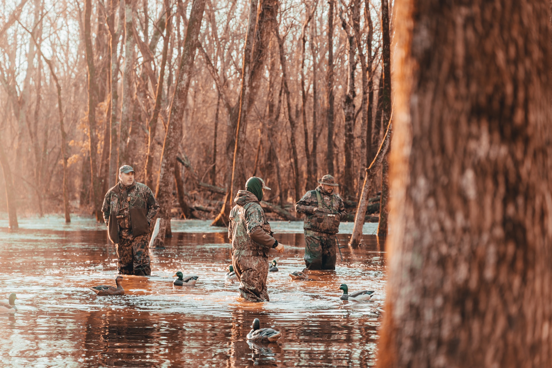 Three duck hunters wading in flooded timber.