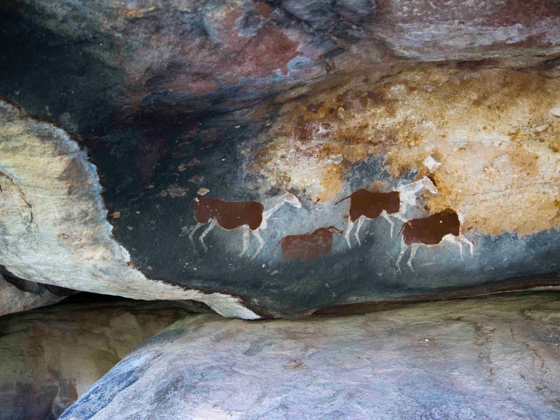 Photograph of ancient cave drawings.